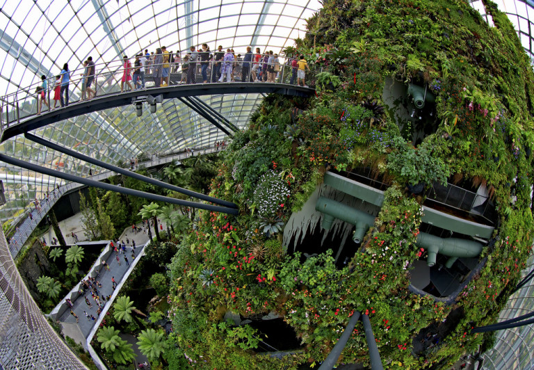 Cloud Forest - Singapore