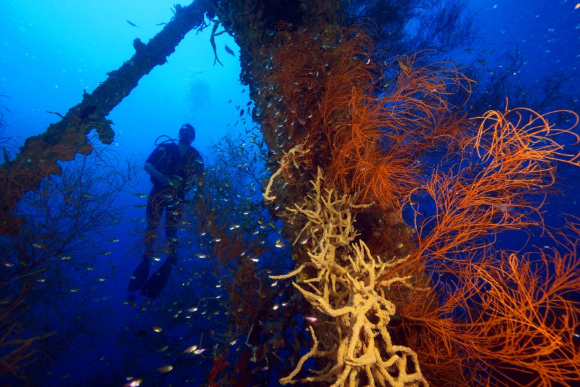 Coron Shipwreck Reefs - Photo from expatads.com