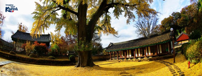 autumn in korea