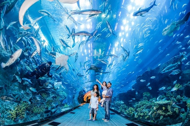 Dubai Aquarium
