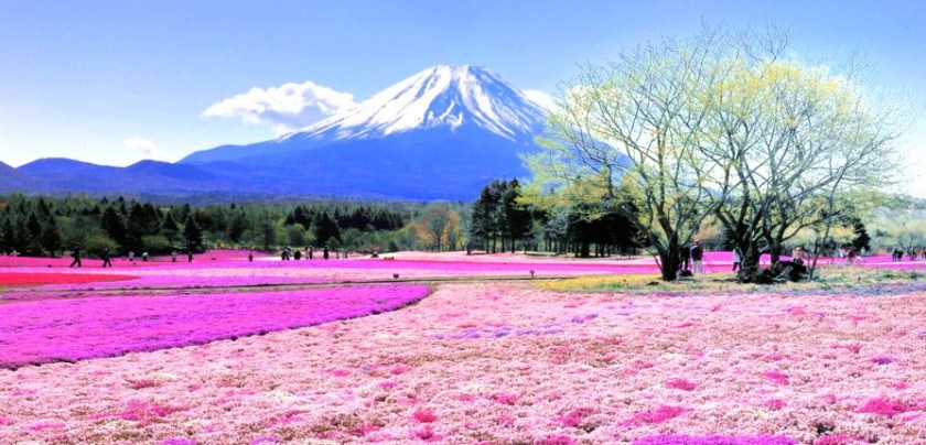 Mount Fuji - Feature