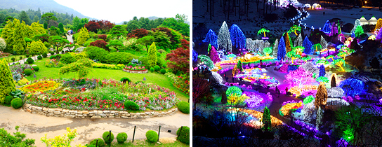 The Garden of Morning Calm 1