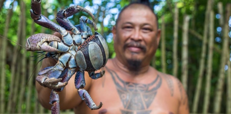 001 Guam Coconut Crab at Chamorro Village