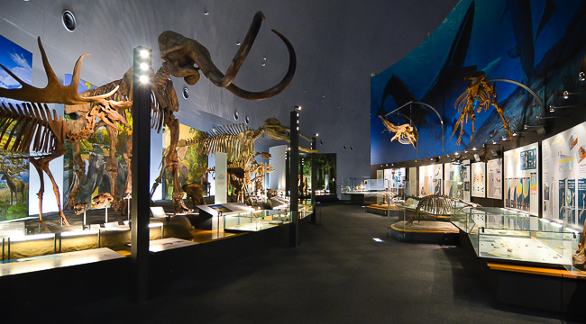 001 JAPAN Fukui Prefectural Dinosaur Museum 3