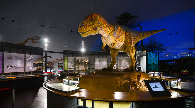 001 JAPAN Fukui Prefectural Dinosaur Museum