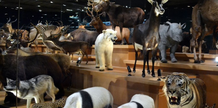 001 JAPAN National Museum of Nature and Science 2