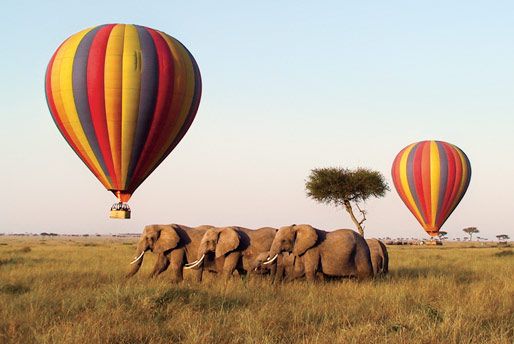 Wildlife safari on a hot air balloon