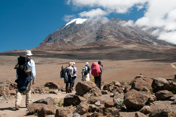 Hikers heading to Mt. Kilimanjaro, the highest peak in Africa