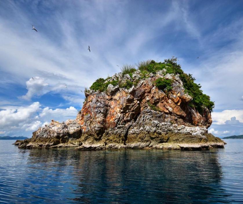 Birds Linapacan Cala Cala