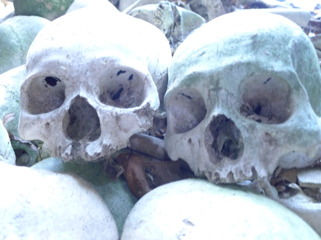 Skulls inside Guyangan Caves