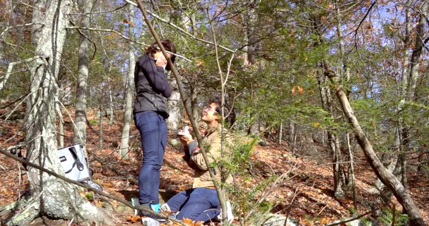 Erwan Heusaff and Anne Curtis Engagement Video